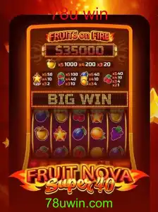 Explorando o Universo de FruitNovaSuper40: Entretenimento e Regras do Jogo